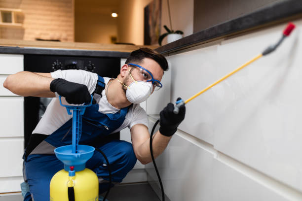 Trusted Jerseyville, IL Pest Control Experts