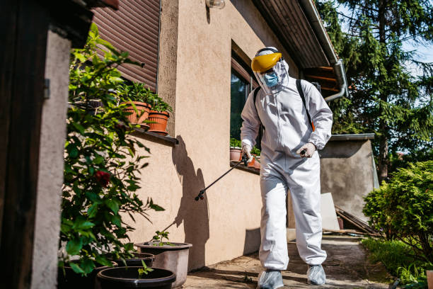 Best Cockroach Control Services  in Jerseyvle, IL