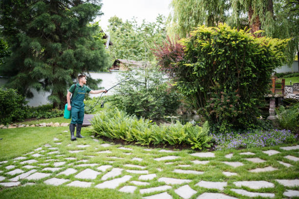 Best Commercial Pest Control Services  in Jerseyvle, IL