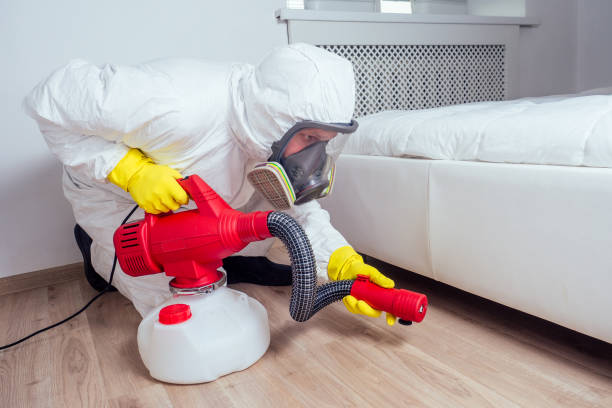 Best Local Pest Control Services  in Jerseyvle, IL