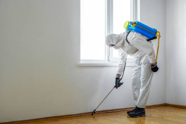 Best Best Pest Control Companies  in Jerseyvle, IL