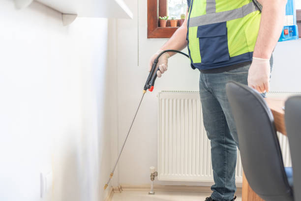Best Flea Control Services  in Jerseyvle, IL