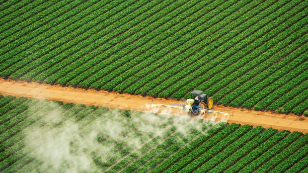 Best Termite Control Services  in Jerseyvle, IL
