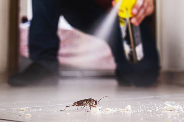 Best Emergency Pest Control  in Jerseyvle, IL