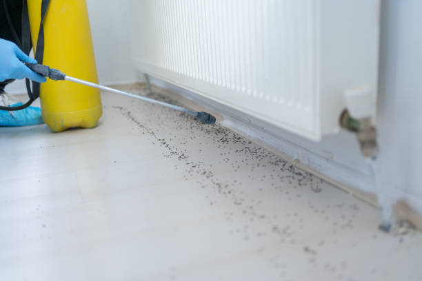 Professional Pest Control in Jerseyville, IL