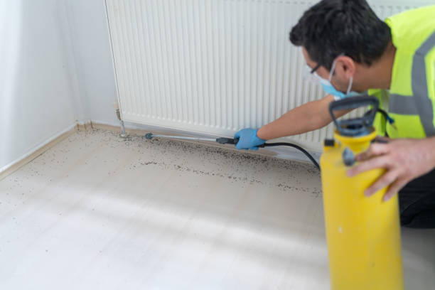 Best Affordable Pest Control Services  in Jerseyvle, IL