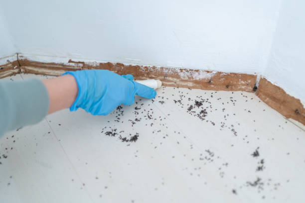 Best Commercial Pest Control Services  in Jerseyvle, IL